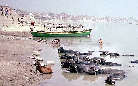 Banaras