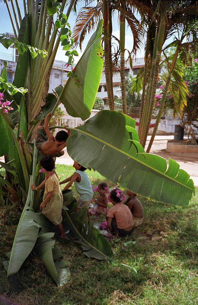 SiemReap